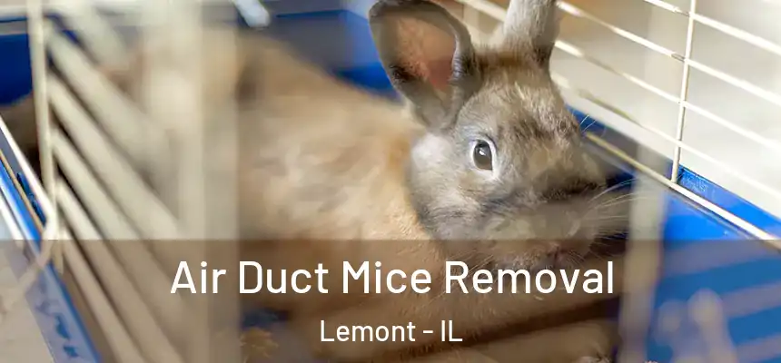 Air Duct Mice Removal Lemont - IL