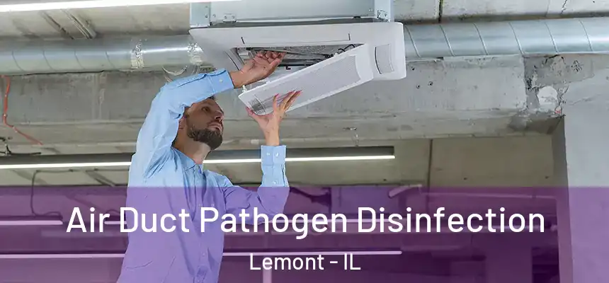 Air Duct Pathogen Disinfection Lemont - IL