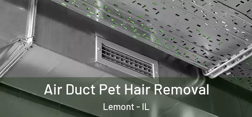 Air Duct Pet Hair Removal Lemont - IL