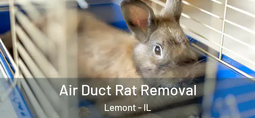 Air Duct Rat Removal Lemont - IL