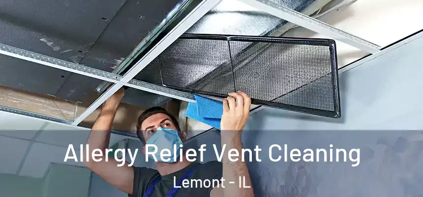 Allergy Relief Vent Cleaning Lemont - IL