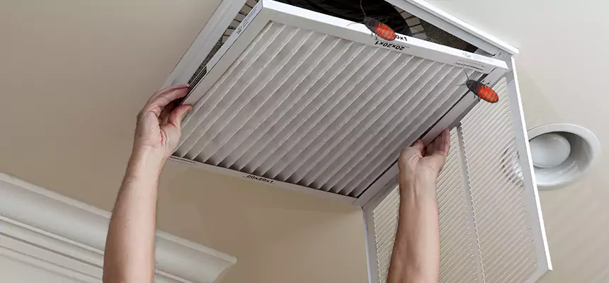 Preventive Cockroach-Proofing for Ducts in Lemont