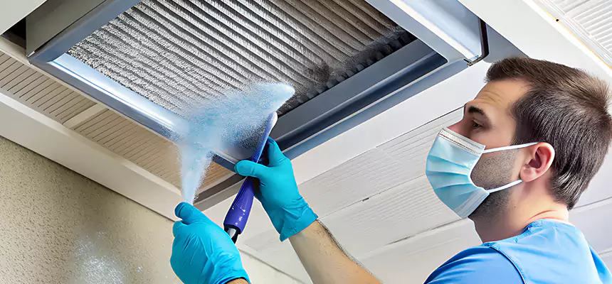Proactive Dryer Vent & Auxiliary Duct Pollen Cleanup in Lemont, IL