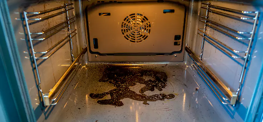 Our Dryer Vent Mold Cleaning Services in Lemont, IL