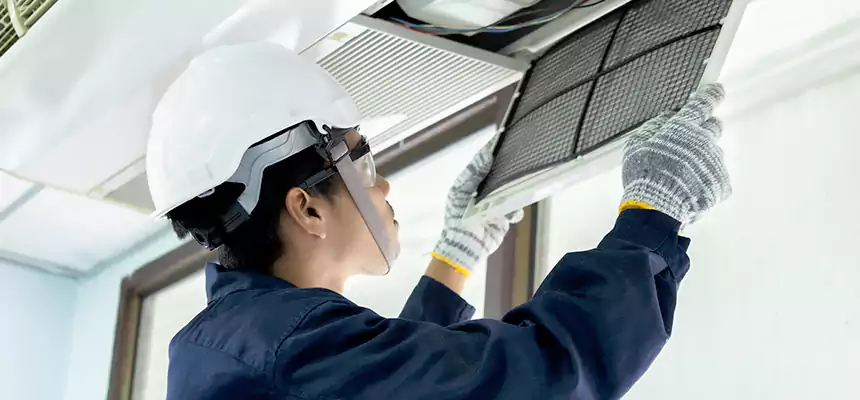 Our Mold & Mildew Removal from Air Ducts Services in Lemont, IL