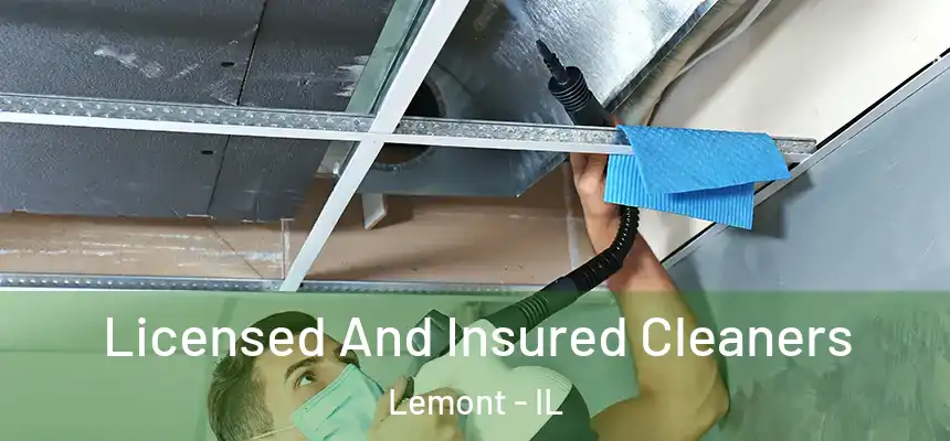 Licensed And Insured Cleaners Lemont - IL