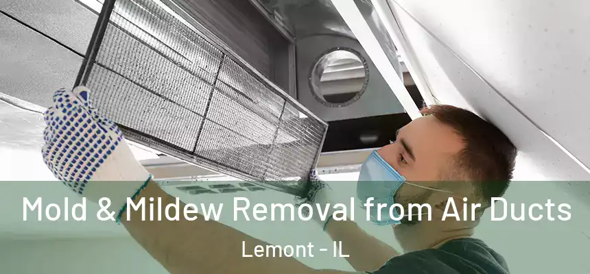 Mold & Mildew Removal from Air Ducts Lemont - IL
