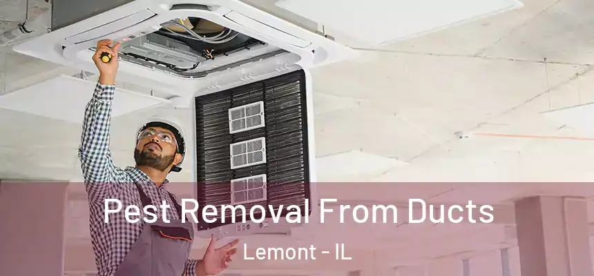 Pest Removal From Ducts Lemont - IL