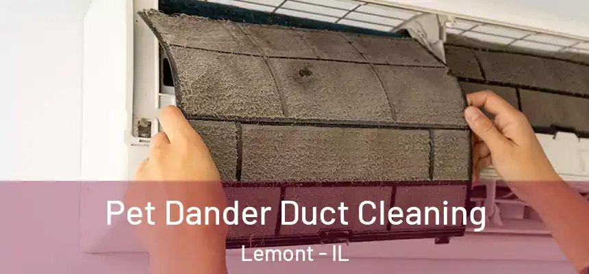 Pet Dander Duct Cleaning Lemont - IL