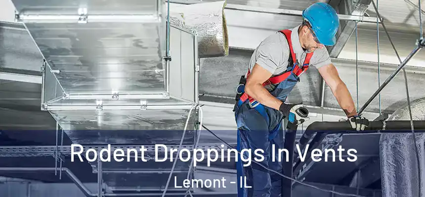 Rodent Droppings In Vents Lemont - IL
