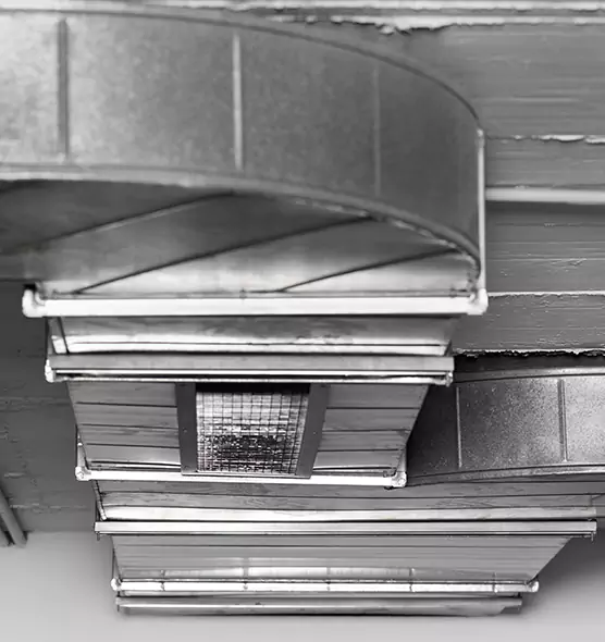 Professional Air Duct Pet Hair Removal in Lemont, IL