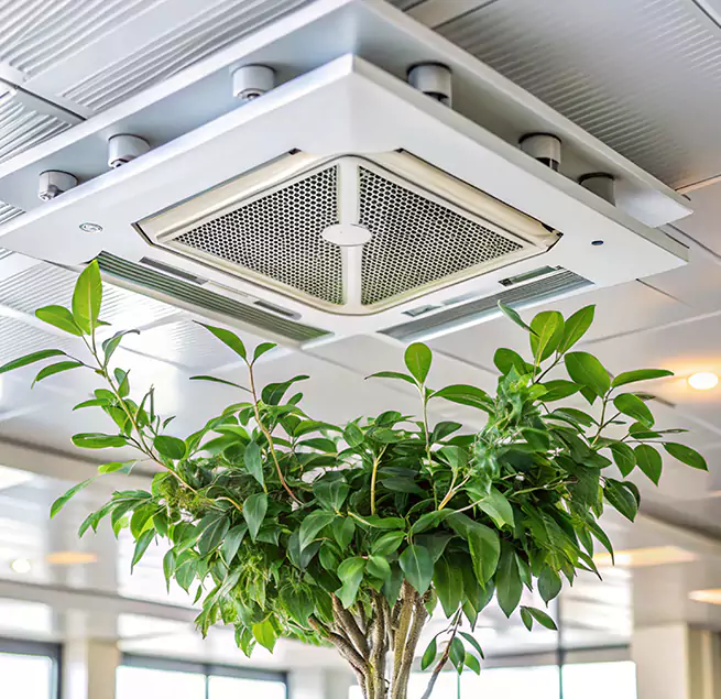 Why Homeowners & Businesses Trust Us in Lemont, IL?